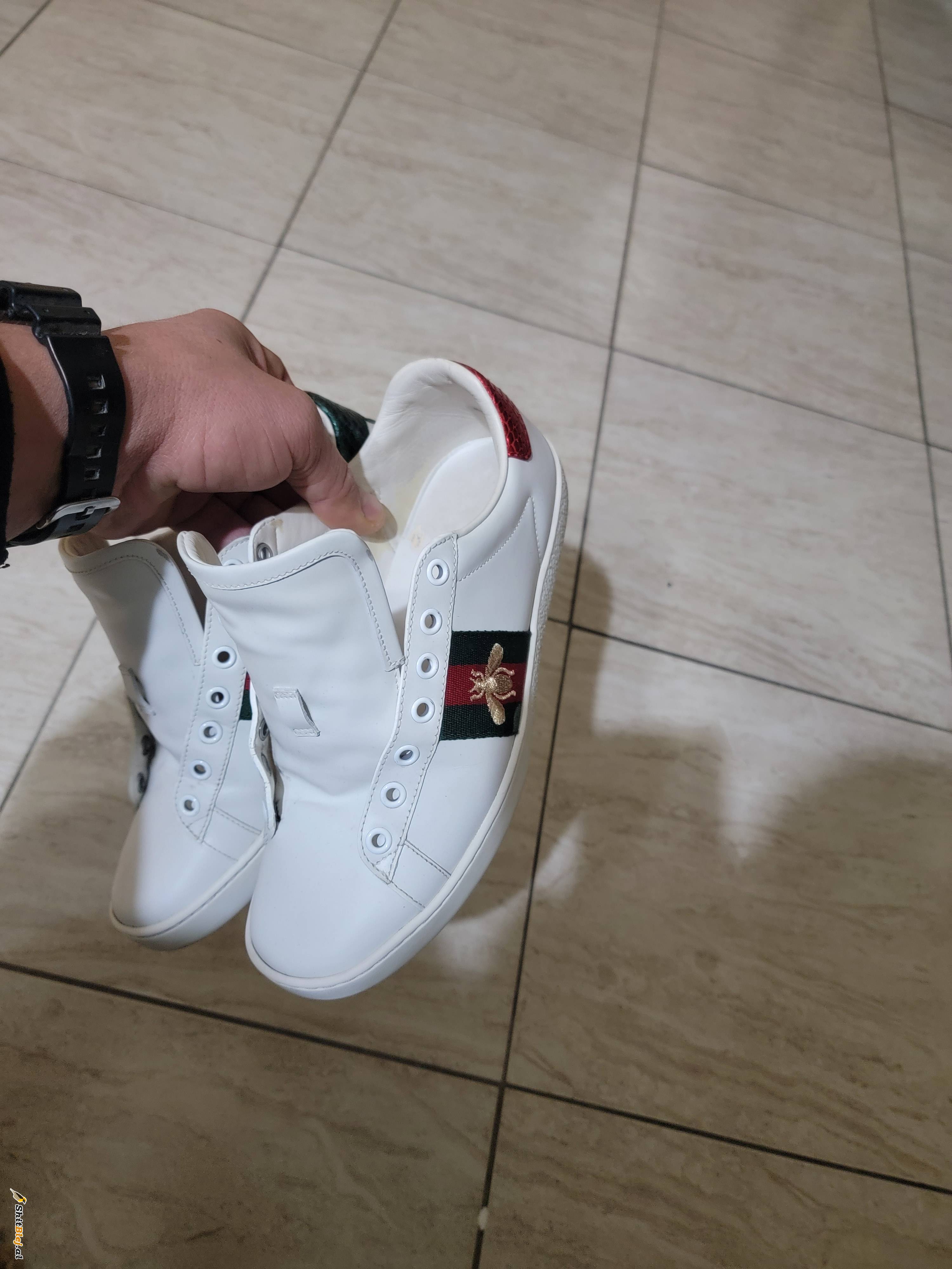 GUCCI ACE origjinale 