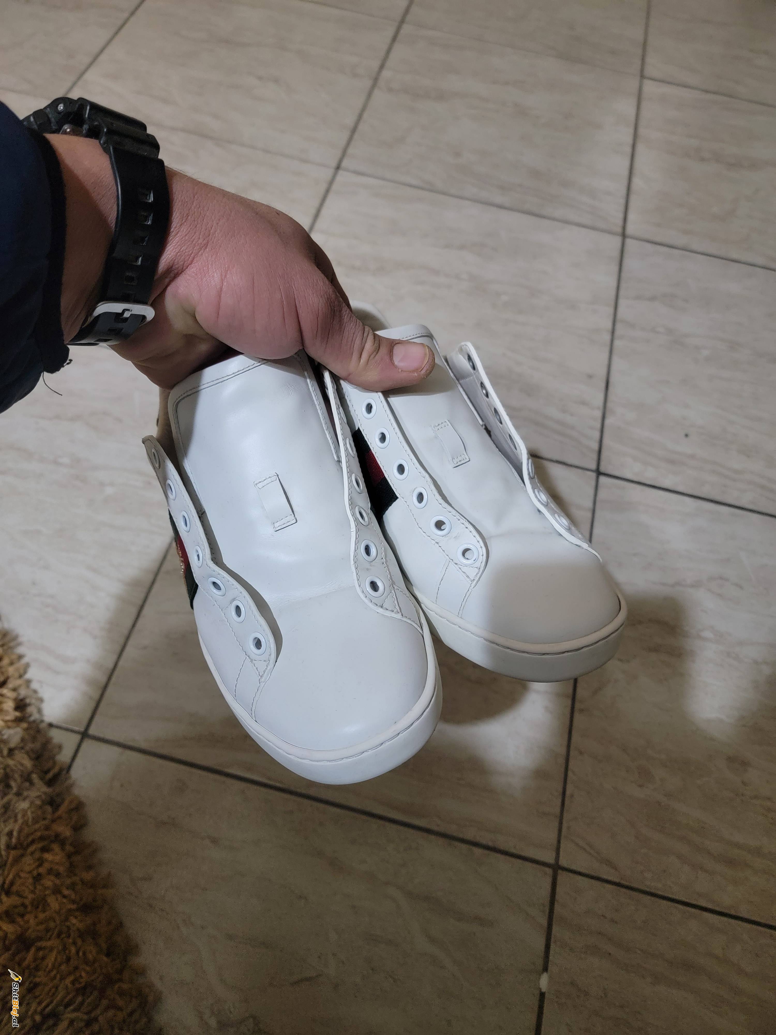 GUCCI ACE origjinale 