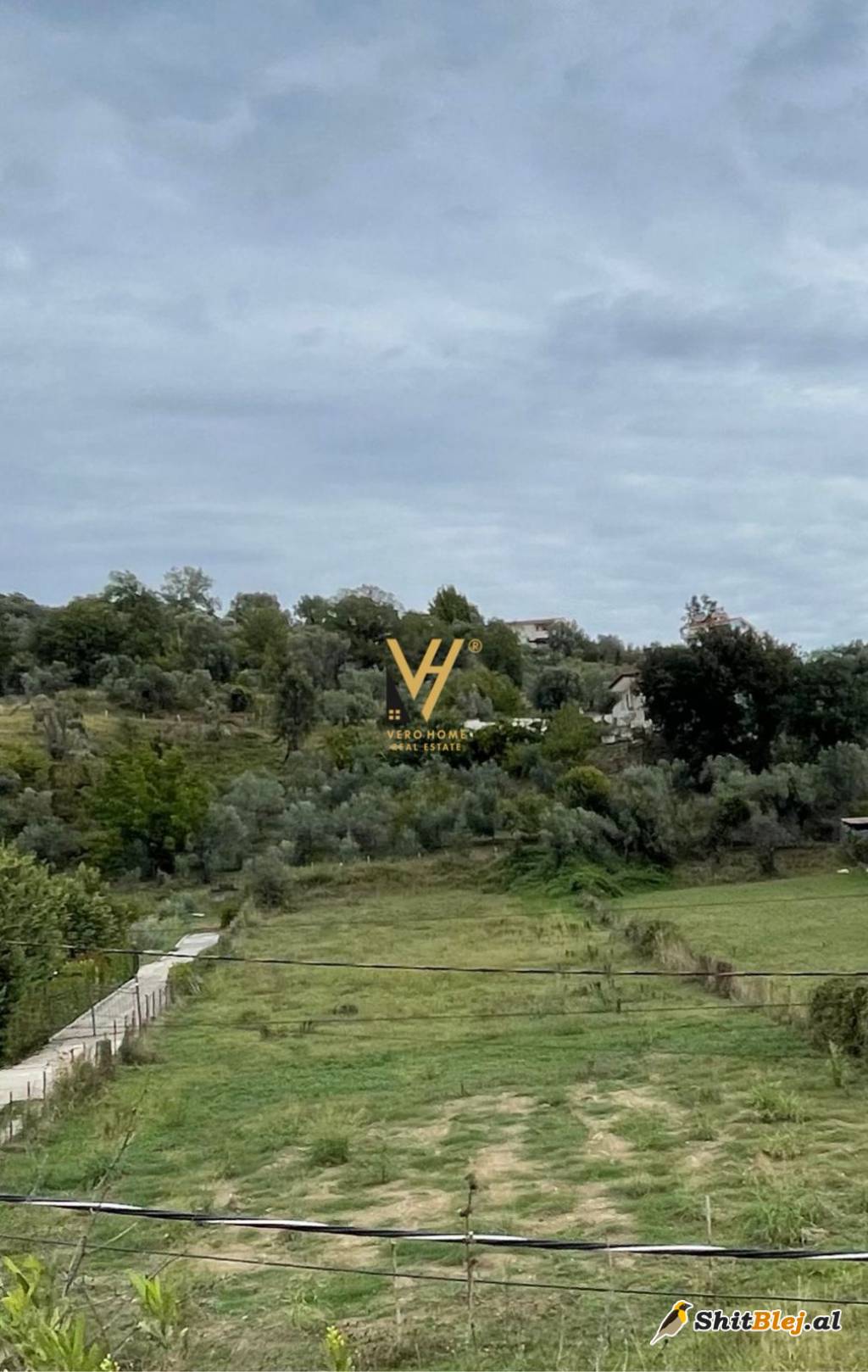 TRUALL 16.000 M2 PRANE TEG 3.200.000 EUR