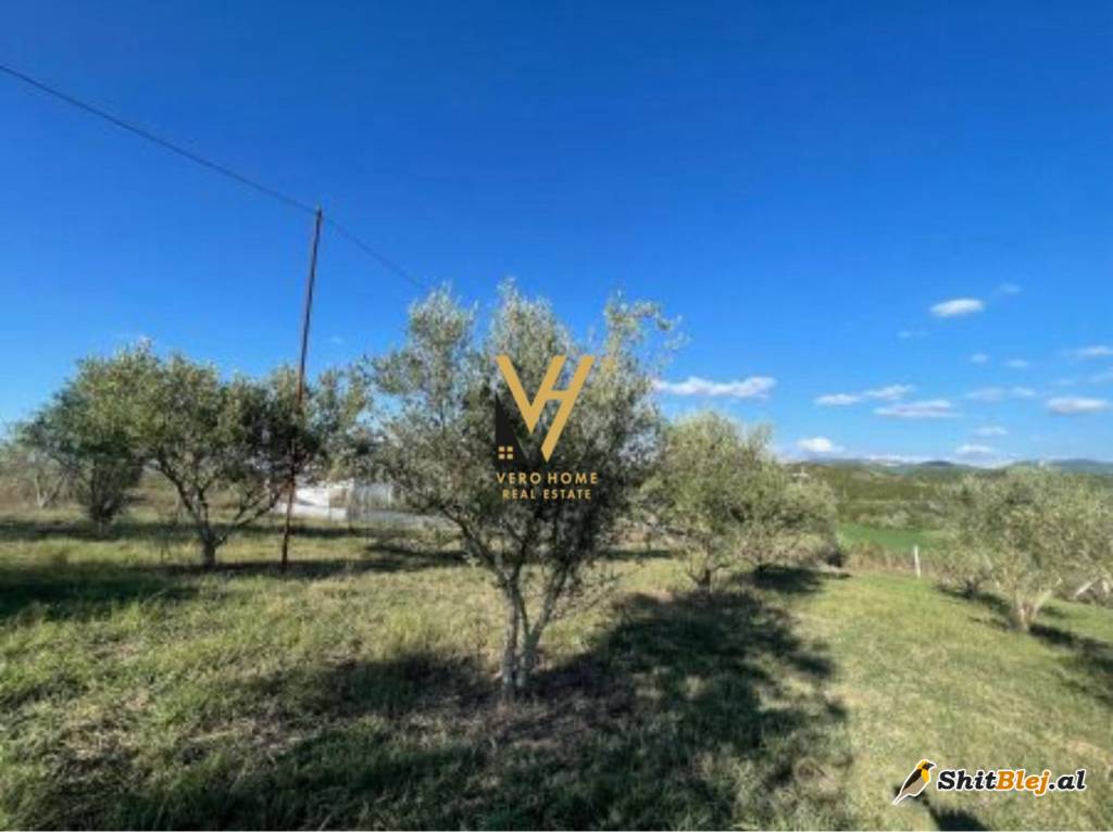 TOKE 12.700 M2 RESORT DAJTI OAZ 760.000E