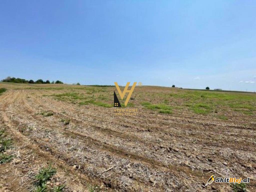 TOKE 1.440 M2 NE BERXULLE 210.000 EURO