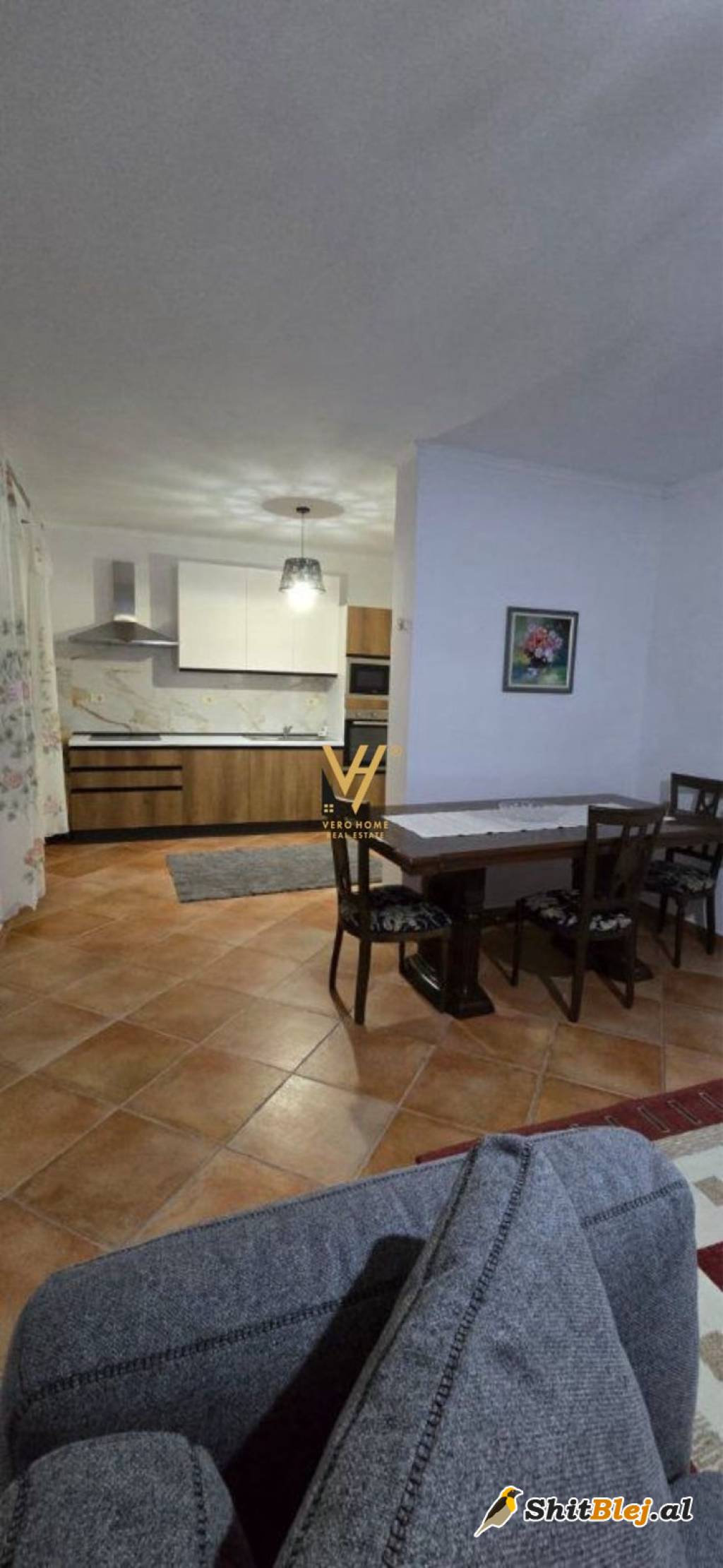 3+1+3 TE VILAT GJERMANE 70.000 LEKE