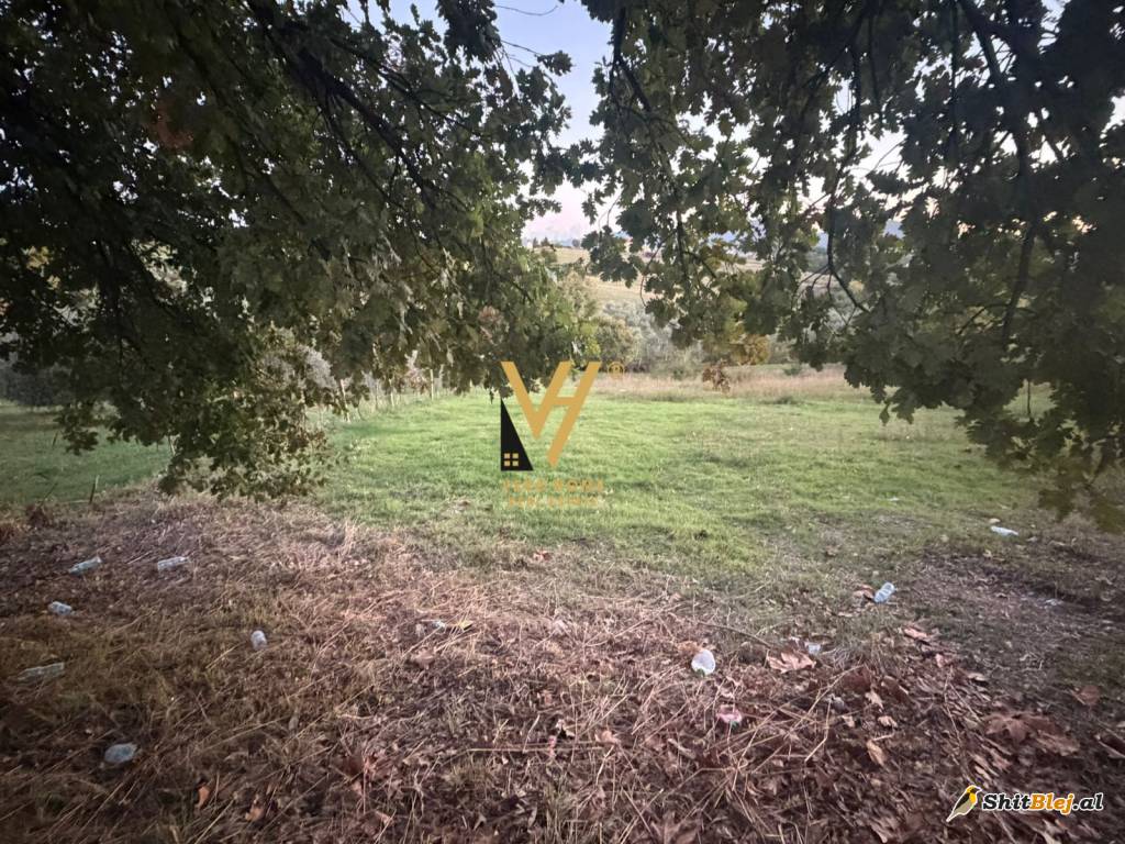TOKE ARE 11.500 M2 NE ARKE 2.000.000 EUR