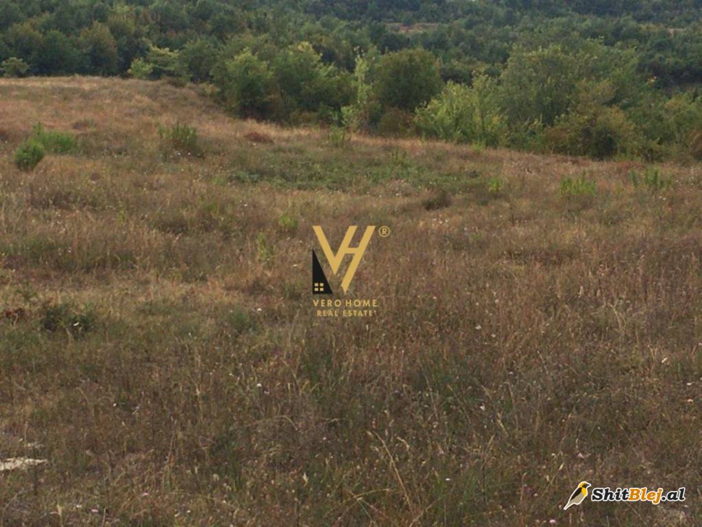 TOKE 5500M2 NE GURRE 220.000 EURO