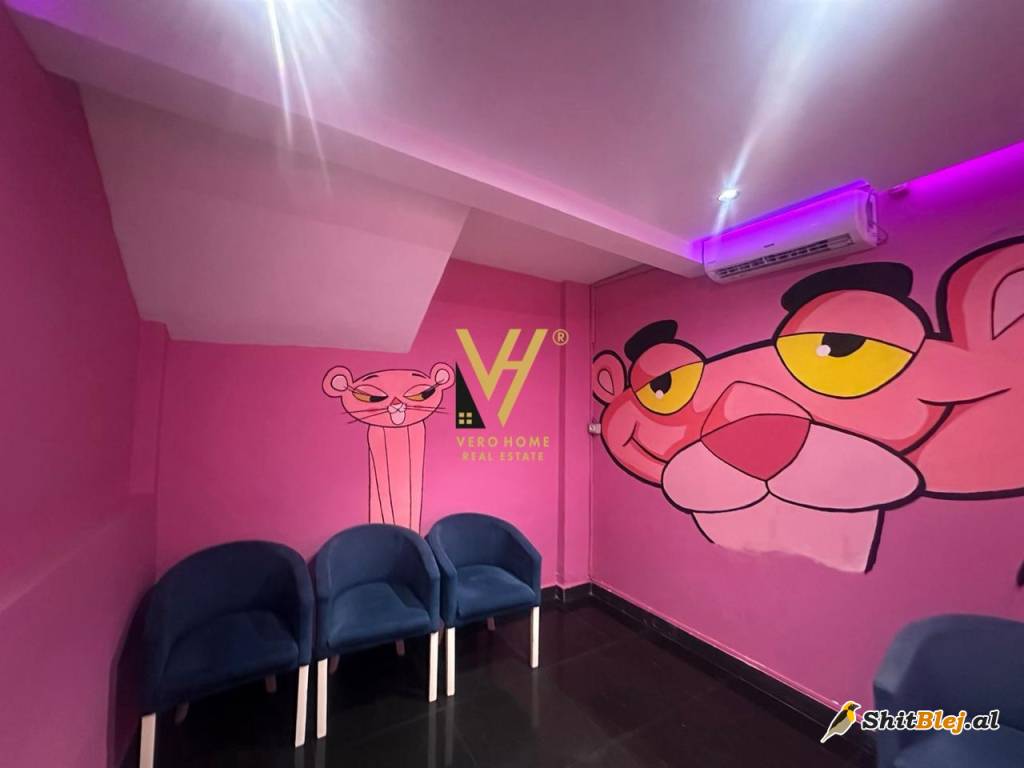 AMBIENT 160 M2 TE MYSLYM SHYRI 1.000 EUR