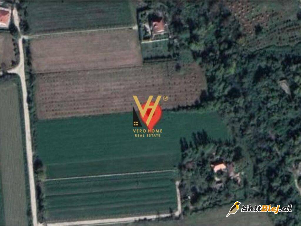 TOKE 10.000 M2 NE RINAS 700.000 EURO