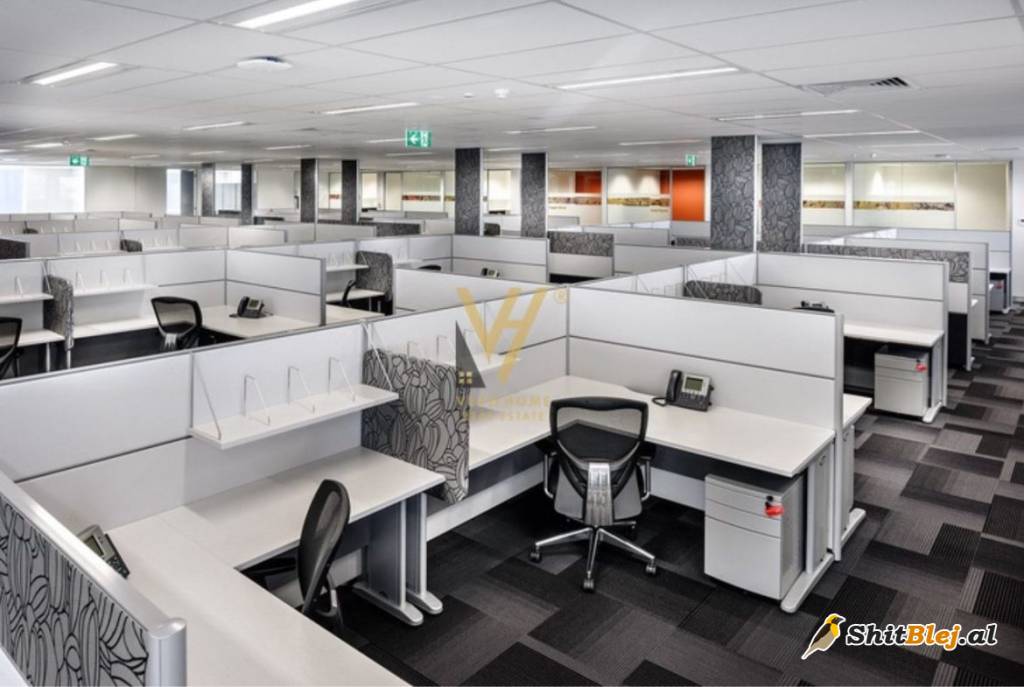 AMBJENT 620M2 TE RR. E DIBRES 4.900 EURO