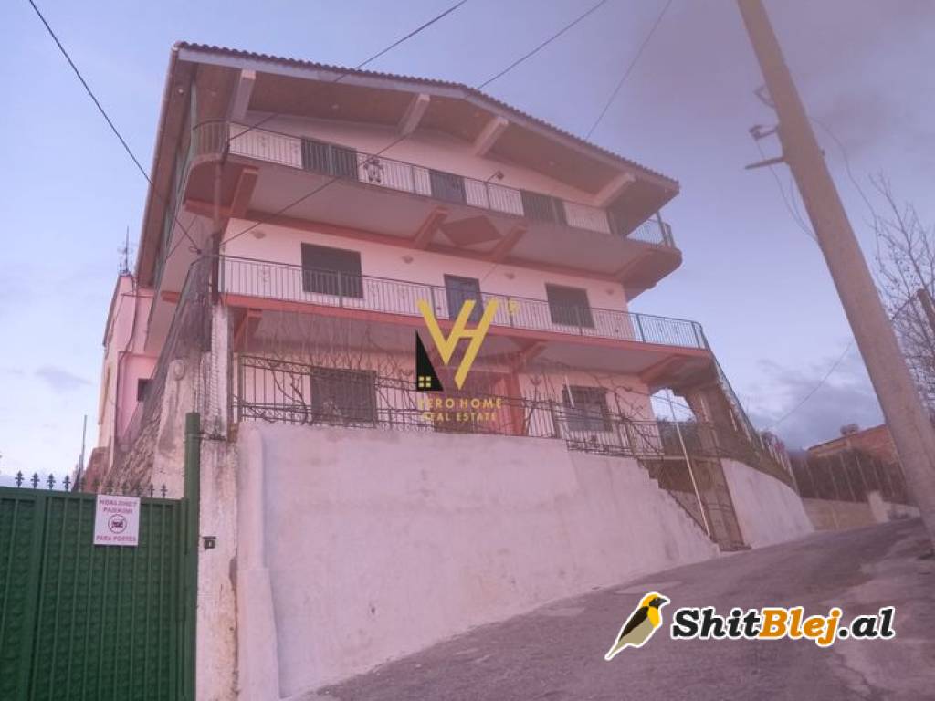 VILE NE SHKOZE 400.000 EURO