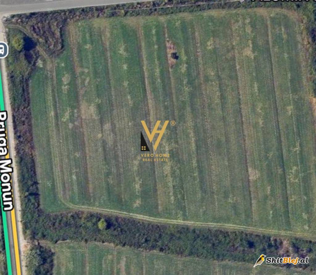TOKE 47.000 M2 NE DOMJE 10.340.000 EURO