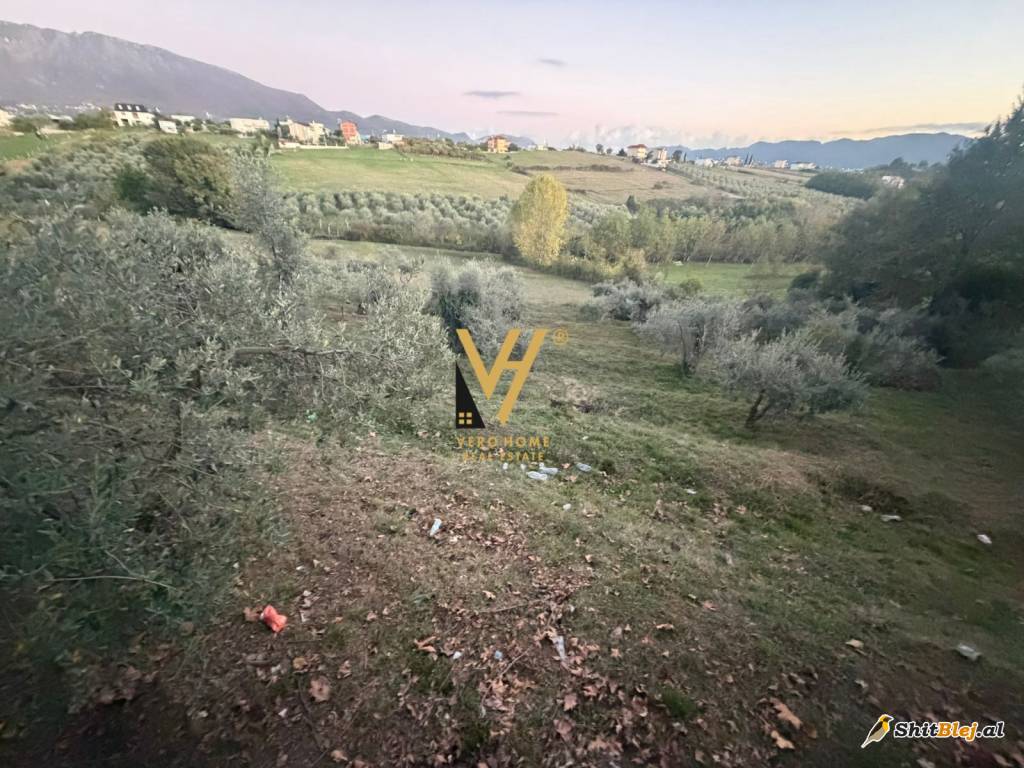 TOKE ARE 11.500 M2 NE ARKE 2.000.000 EUR