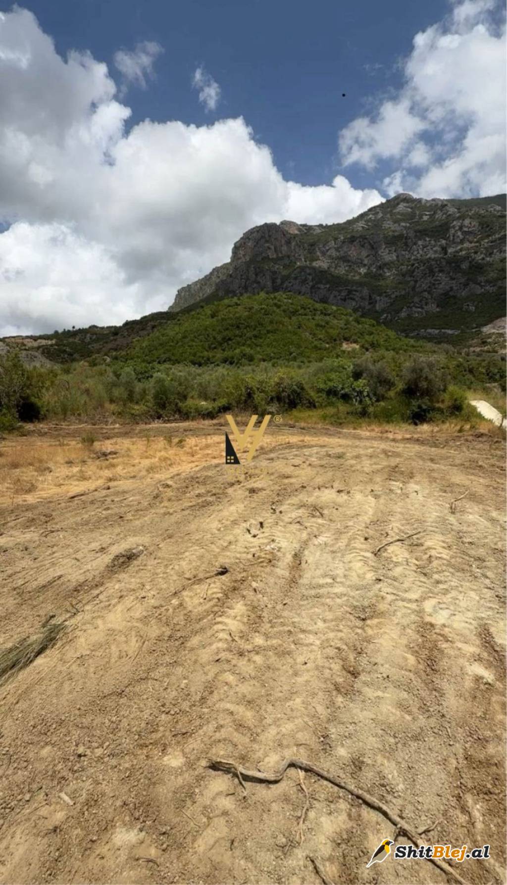 TOKE 2.000M2 TE RRUGA E ARBRIT 200.000 E