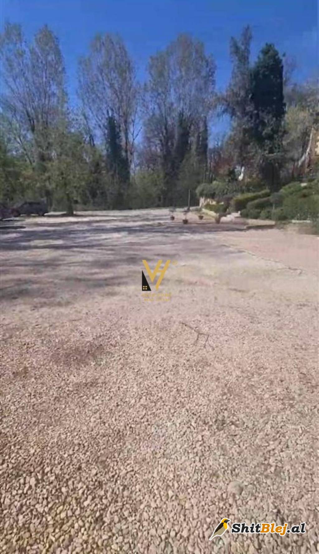 TOKE TE LIQENI ARTIFICIAL 250.000 EURO