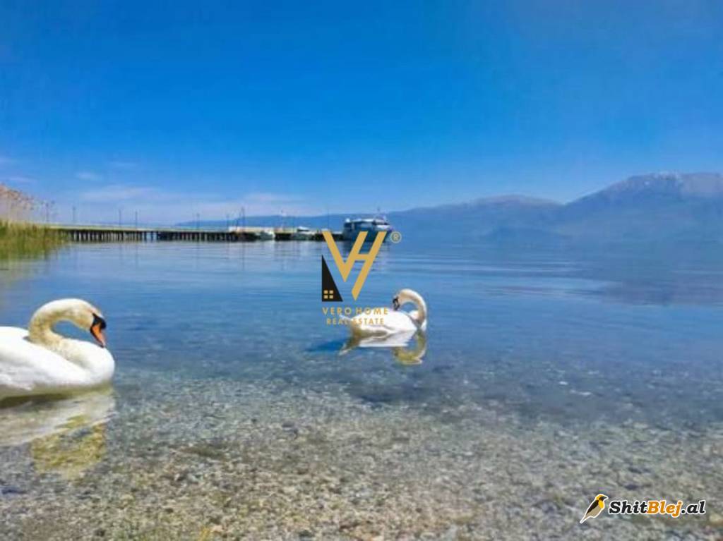 1+1 NE TUSHEMISHT, POGRADEC 85.000 EURO
