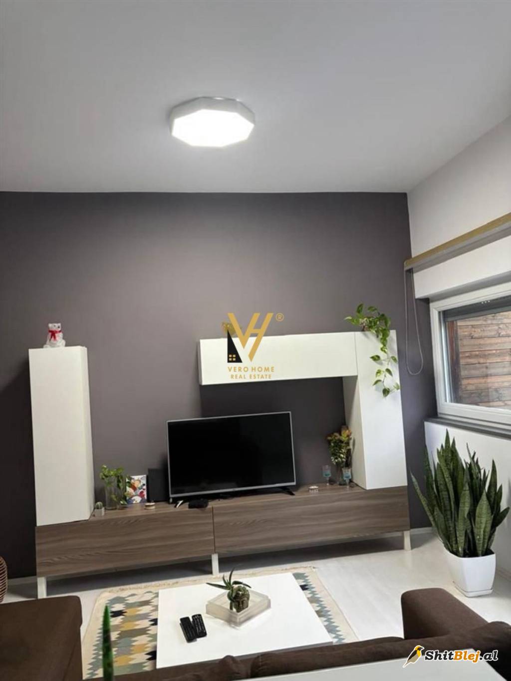  1+1+BLK TEK KOPSHTI BOTANIK 600 EURO