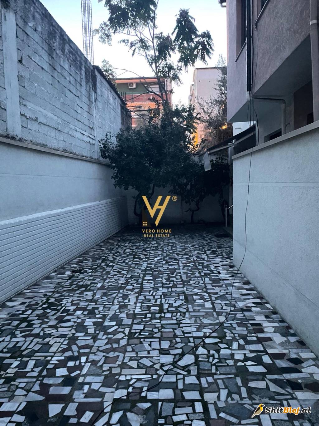 VILE 3-KATSHE ME QERA TE QSUT 1.000 EURO