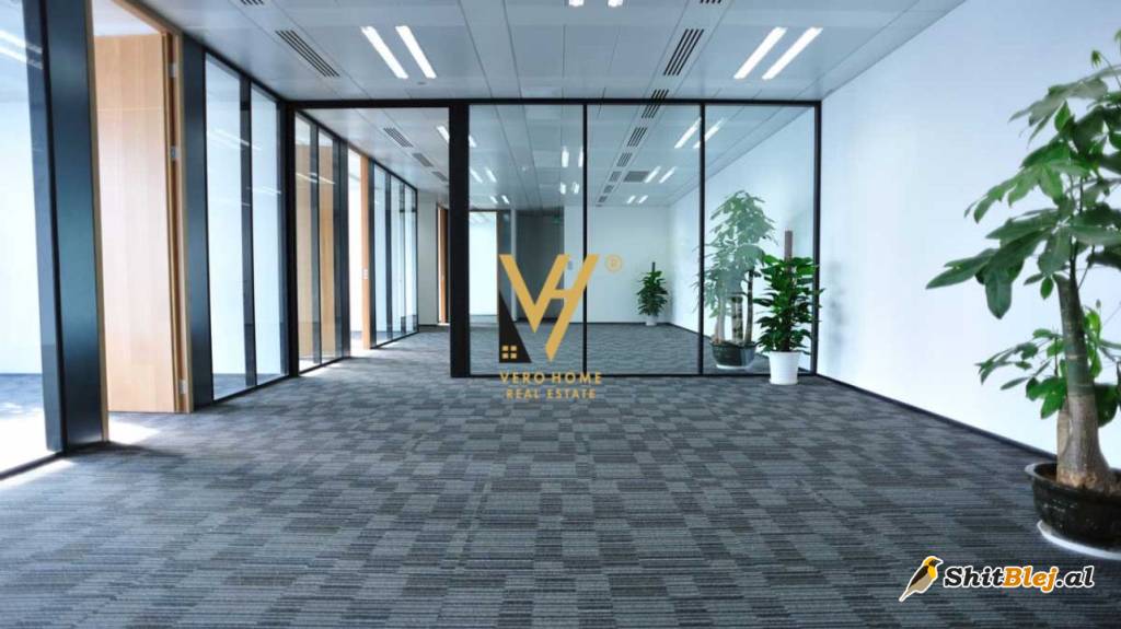 170M2 ME QERA TE MYSLYM SHYRI 1.400 EURO