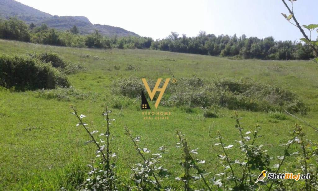 TRUALL TE VILAT GJERMANE 1.700.000 EURO