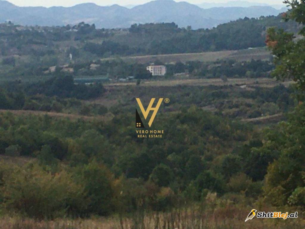 TOKE 5500M2 NE GURRE 220.000 EURO