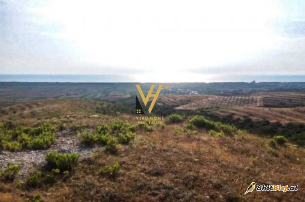 TOKË 6.142 M2 NË SPILLE 180.000 EURO