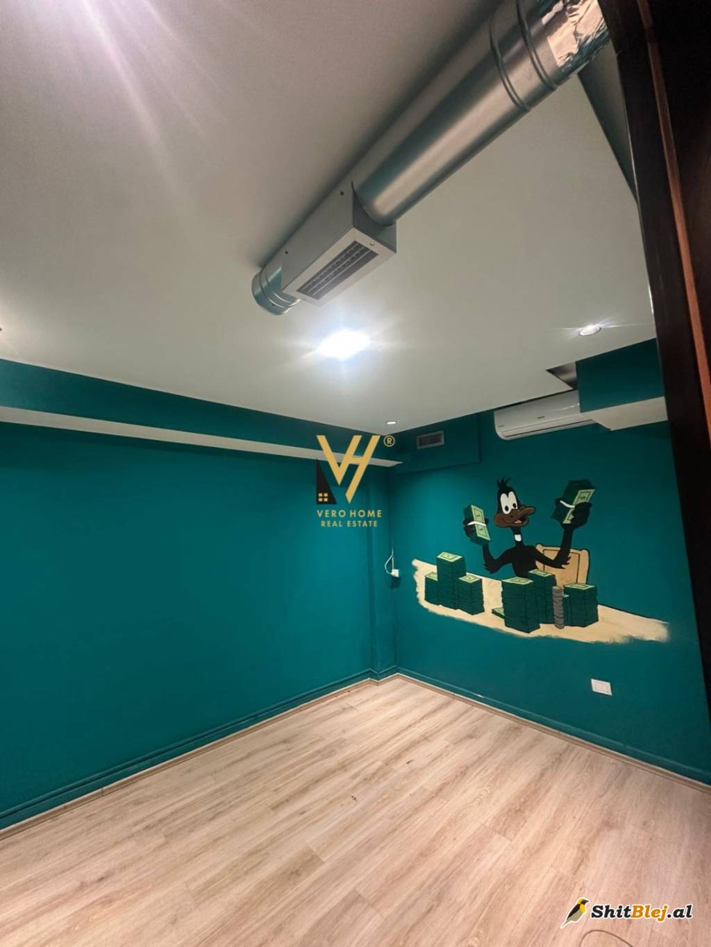 AMBIENT 160 M2 TE MYSLYM SHYRI 1.000 EUR