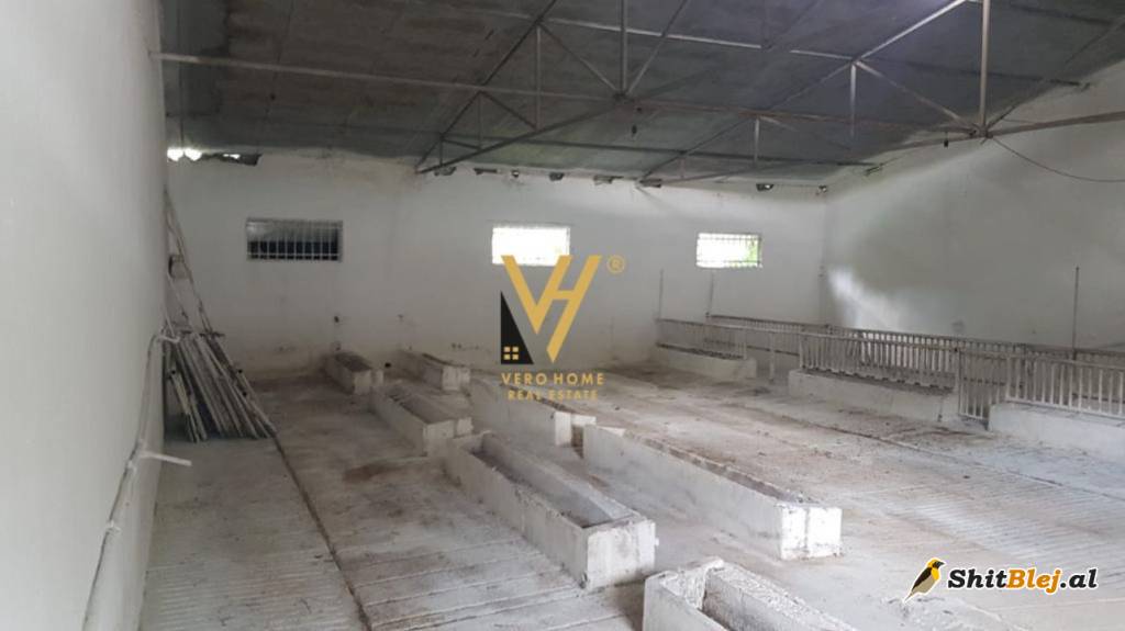 AMBIENT 2.000 M2 NE BALDUSHK 1.600 EURO