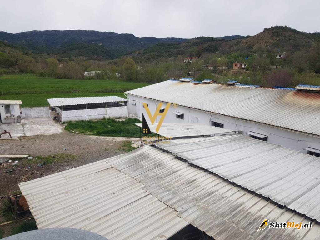 AMBIENT 2.000 M2 NE BALDUSHK 1.600 EURO