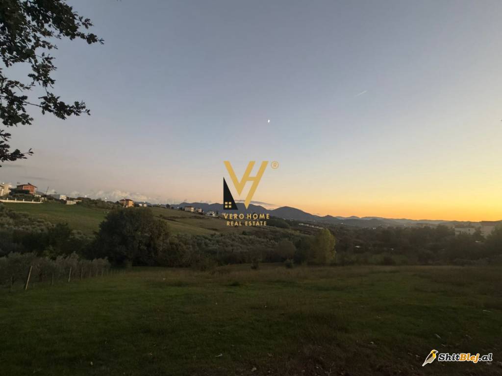 TOKE ARE 11.500 M2 NE ARKE 2.000.000 EUR