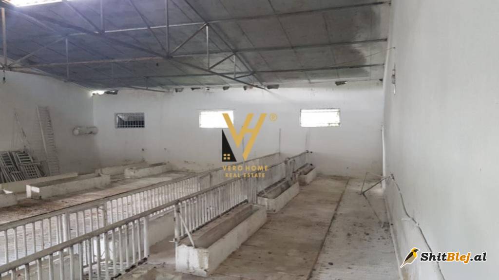 AMBIENT 2.000 M2 NE BALDUSHK 1.600 EURO