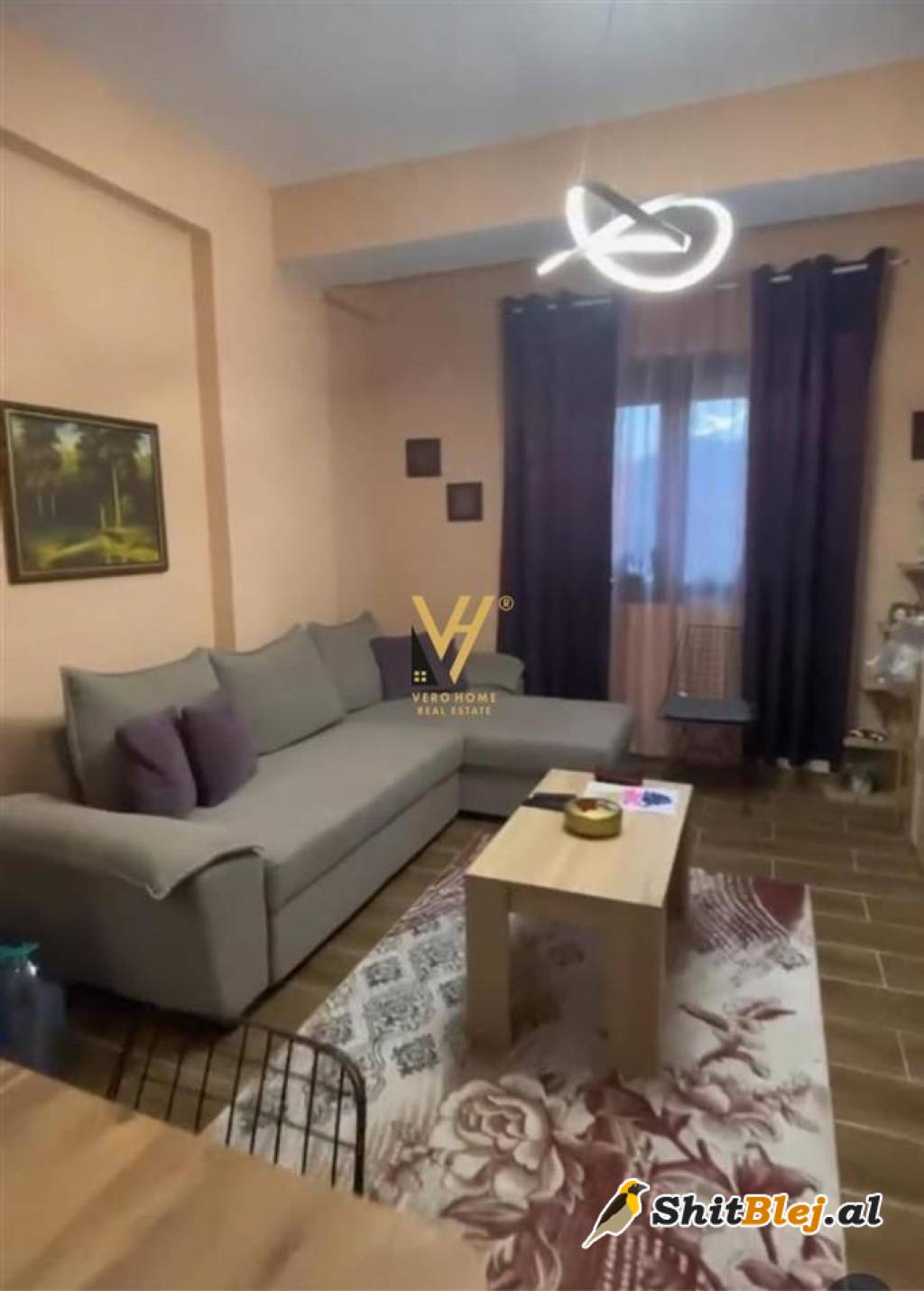 2+1TE KODRA E DIELLIT 1 ,157.000 EURO