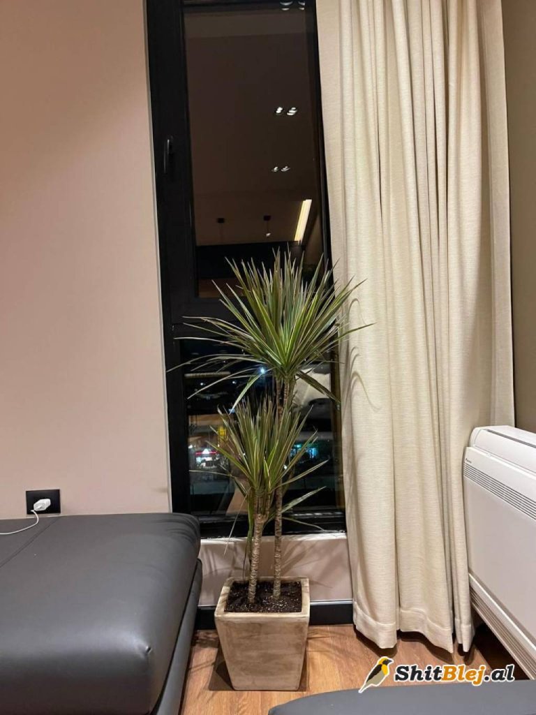 Apartament 2 + 1 Square 21