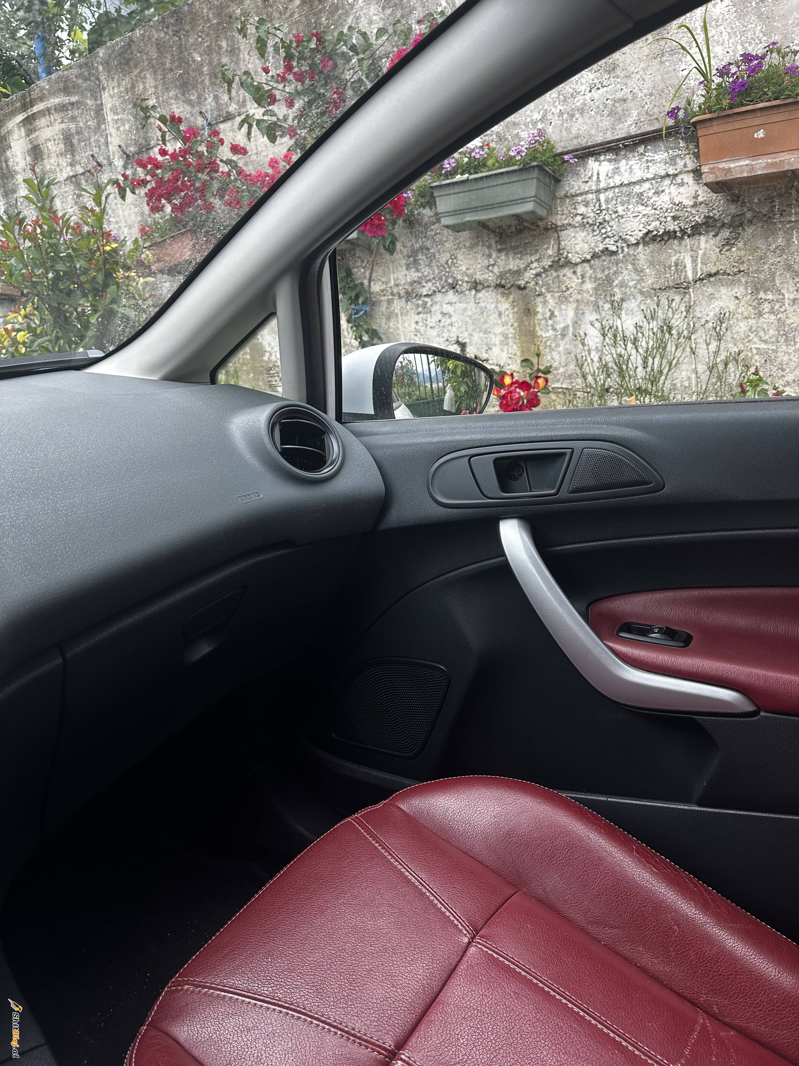 Ford Fiesta 2010 benzin Gaz
