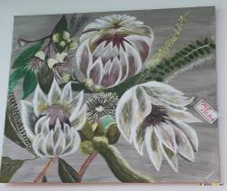 Peonia