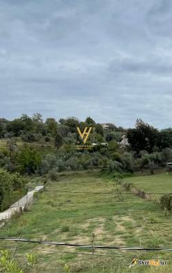 TRUALL 16.000 M2 PRANE TEG 3.200.000 EUR