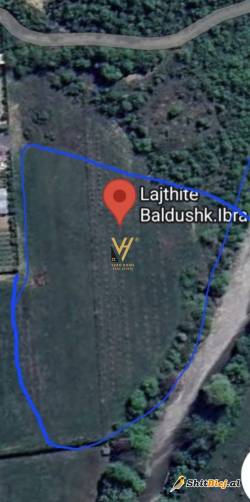 TOKE 6.500 M2 NE BALDUSHK 290.000 EURO