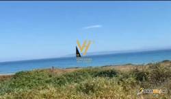 TOKE 2600 M2 NE SPILLE 99.000 EURO