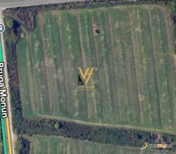 TOKE 47.000 M2 NE DOMJE 10.340.000 EURO