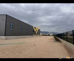 KAPANON 1.200 M2 TE RINASI 4.500 EURO