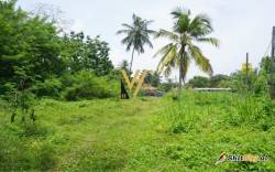  TRUALL 8.000 M2 NE BERXULLE 400.000 EUR