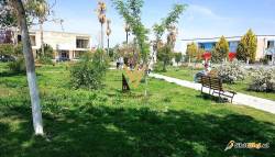 TOKE 6000 M2 NE LUSHNJE 25.000 EURO