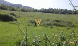 TRUALL TE VILAT GJERMANE 1.700.000 EURO