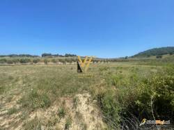 TOKË 100.000 M2 NE PRISK 5.000.000 EURO