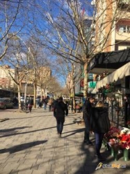 Ambient biznesi qender Tirane